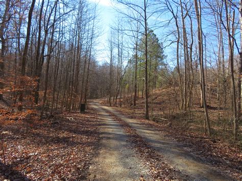 land for sale in madison county tn